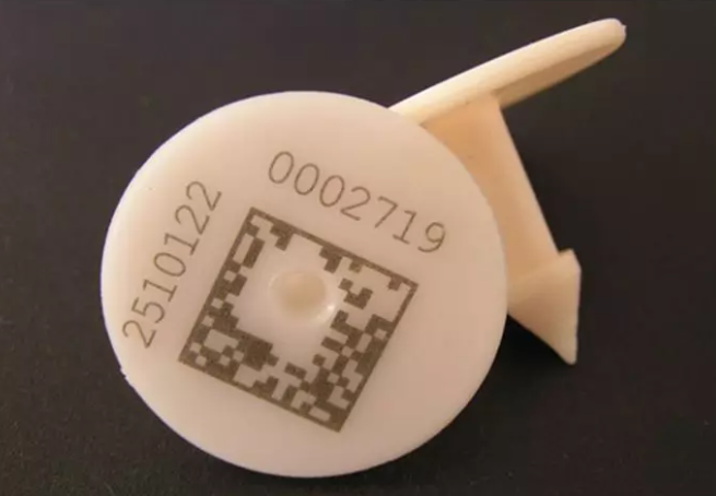 mqquina de gravação laser em taças mqquina de gravação laser em taças