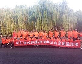 Our Team