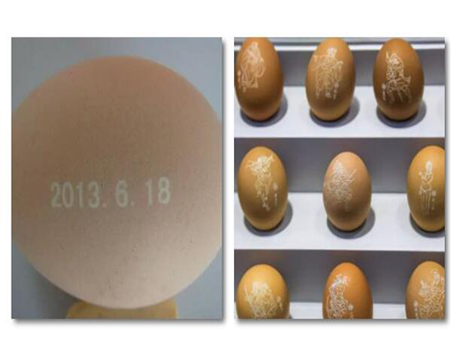 laser printing machine on food