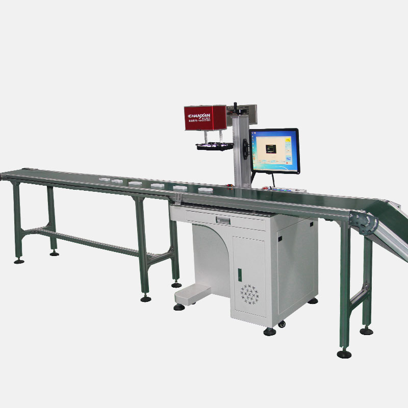 CWD Inline Conveyor Laser Marking System
