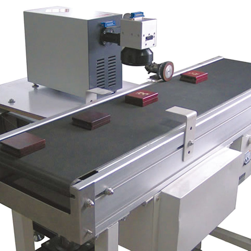 CWD Inline Conveyor Laser Marking System